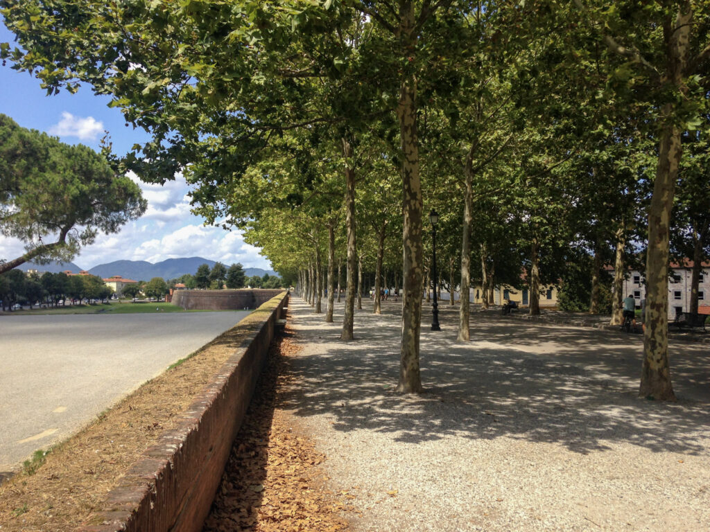 Muralha da cidade de Lucca
