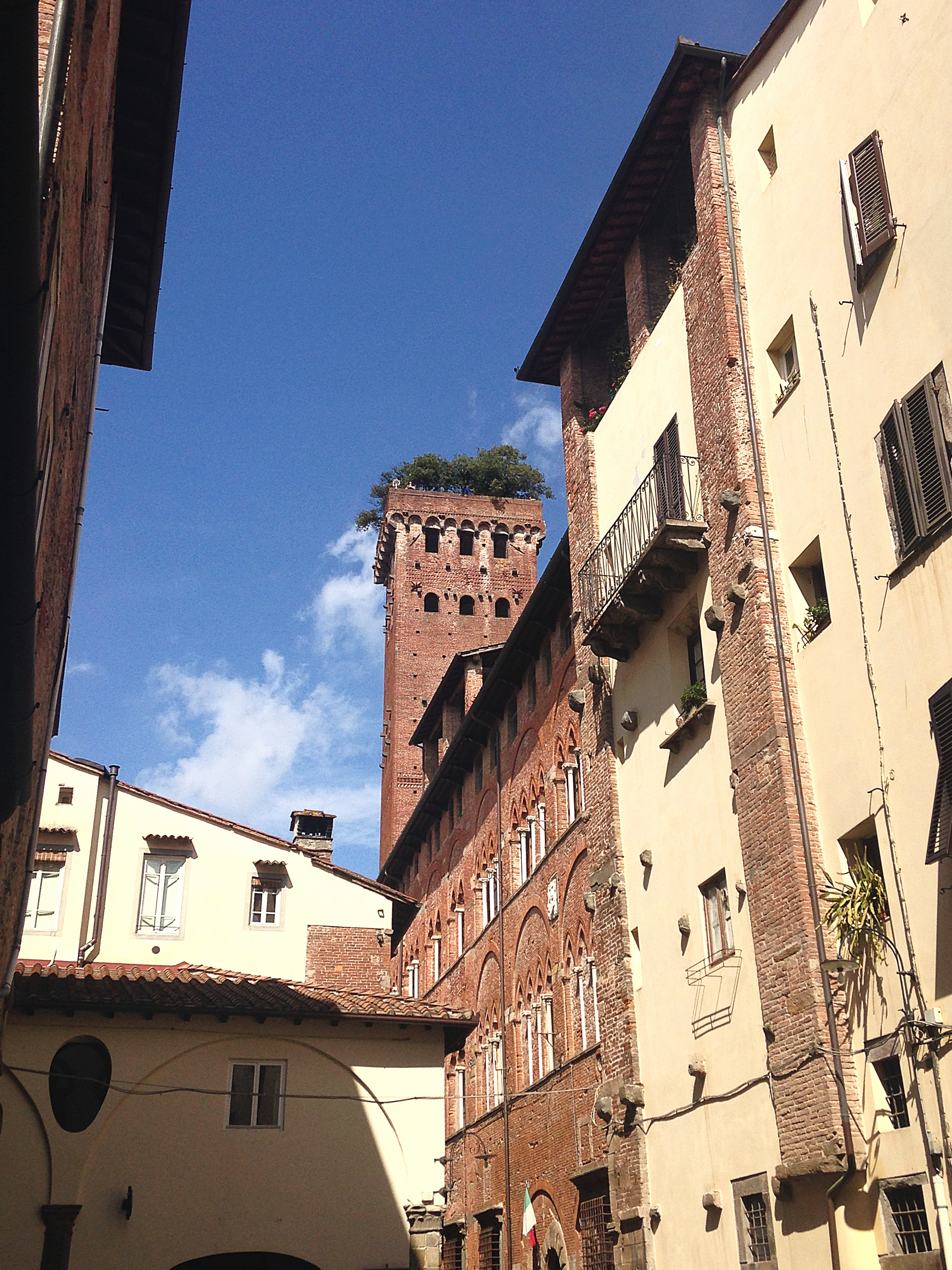 Torre Guinigi com seus tons vermelhos e árvores no topo, cidade de Lucca na Itália